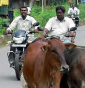 jizdaspolu.cz Doprava