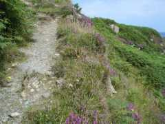 geograph.org.uk Dorais