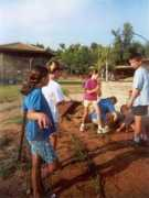 pinat-hay.com Dorban