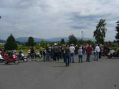 scoot.net Dorcie