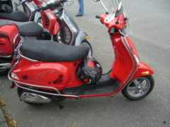 scoot.net Dorcie