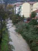 cittadellaspezia.com Dorgia