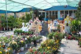 happy-greece.com Dorgos