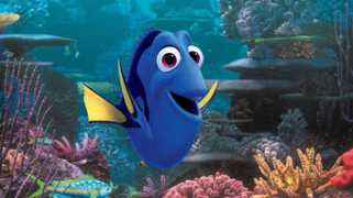 Dorie