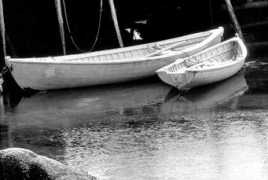 Dories