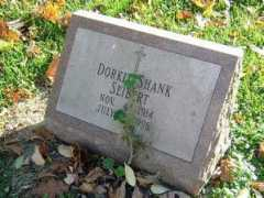 Dorkis