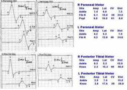 neurolist.com Dormand