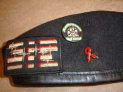 en.wikifur.com Dorsai