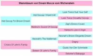 pudel-wichenstein.ch Dosca