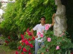 afghanmania.com Dostan