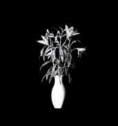 flashartonline.com Doswald