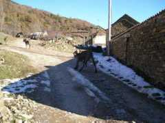 panoramio.com Dotado