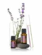 bodymechanicsweb.com Doterra