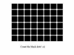Dots