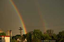 olegvolk.net Doublerainbow