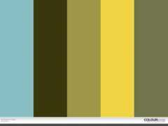 colourlovers.com Dougals