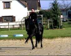 signaturefriesians.com Dounia