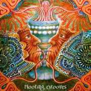 ashoka.com.pl Downe