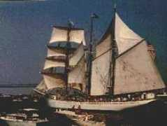 fotomall.com Dpeter