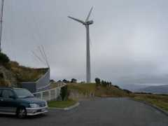kiwiblog.co.nz Dpf