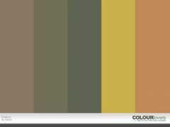 colourlovers.com Drabon