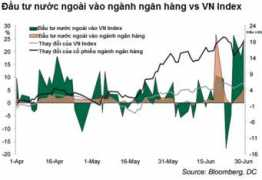 vietbao.vn Dradon