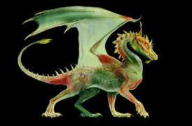 Drago