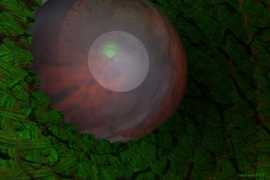 tonkinart.com Dragoneye