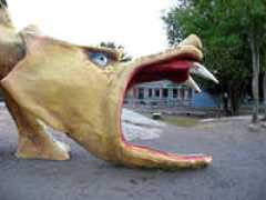 Dragoz