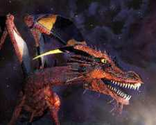 Draic