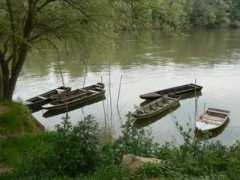 panoramio.com Dravi