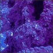 godflesh.com Dreamt