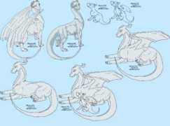 Dregon