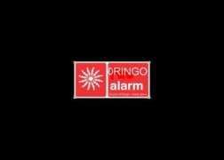 ytmnd.com Dringo