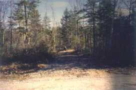 halifax.rasc.ca Driveway
