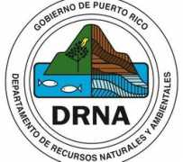 Drna