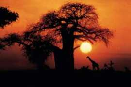 ietravel.com Droeger