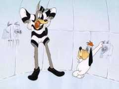 Droopy