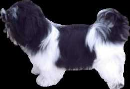 newlocksarrow.com Droppie