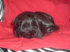 caviastaldanoontje.nl Droppie