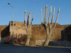 panoramio.com Drosoula