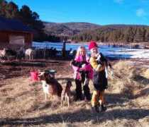oocities.org Drover