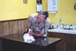 doneen.com Drrichard