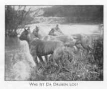 ukboxerdogs.co.uk Druben