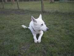 weissenchristal.de Druben