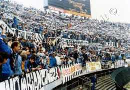 Drughi