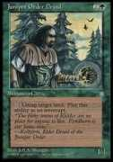 Druido