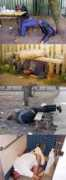 russianvodka.com Drunks
