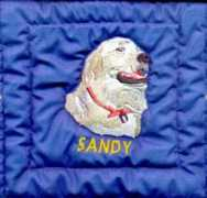 Dsandy