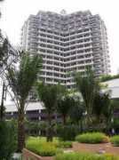 Dsara